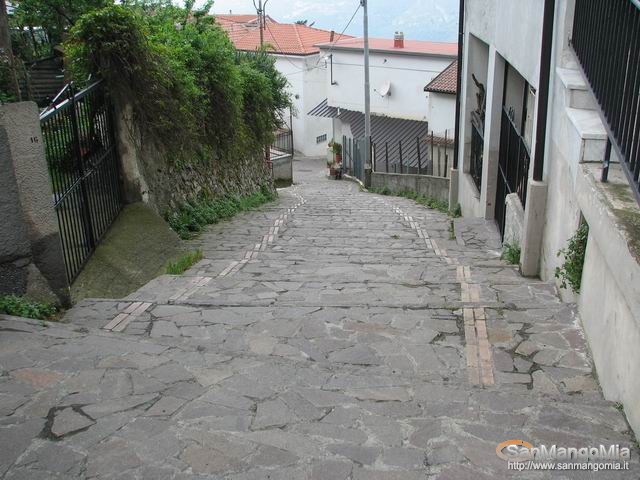 Rughe suprane 010